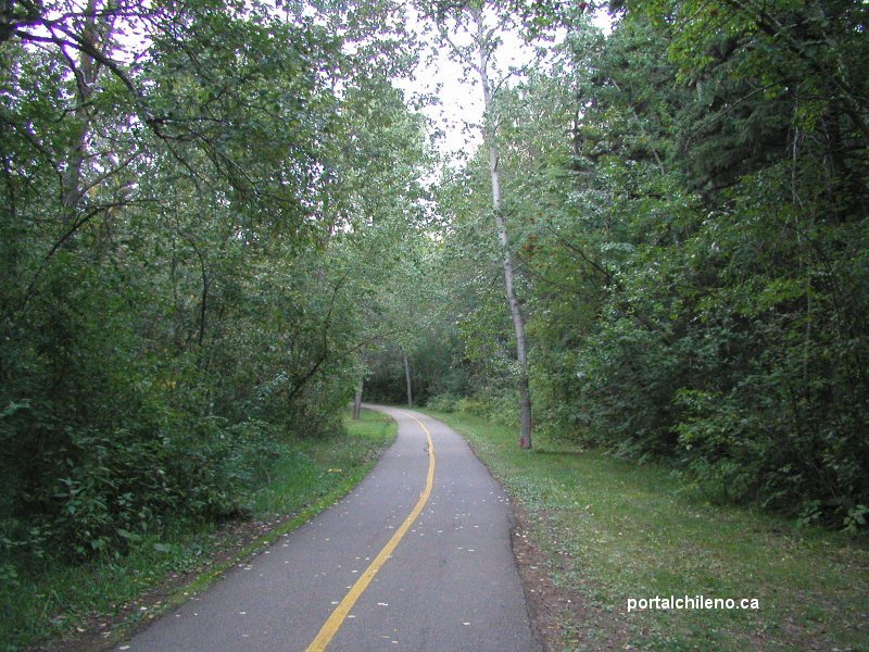 River Valley Medicinal Plant Walk with Robert Rogers